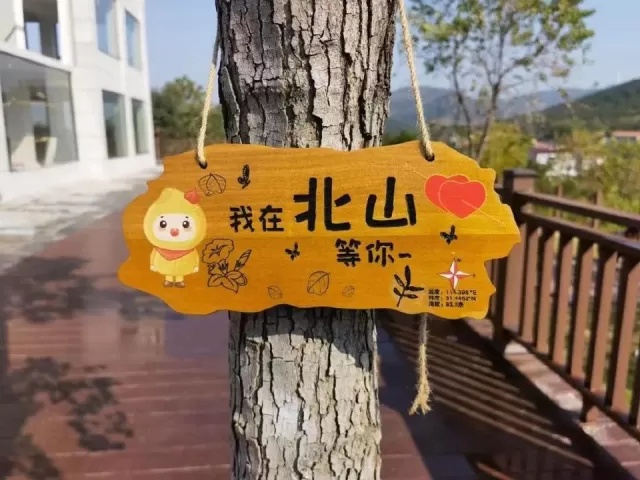 縣烏桕樹達450萬棵。位於四姑鎮北山村的大別山(大悟)紅葉景區,面積約6