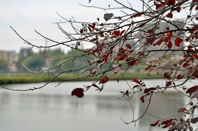 天,黃葉地,秋色連波