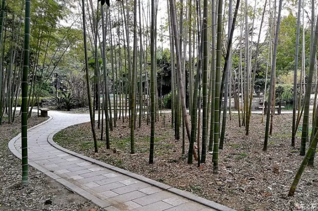 ,清淨清淨。挎上心愛的相機,用鏡頭去接觸自然,只在這一刻內心是無比的寧靜