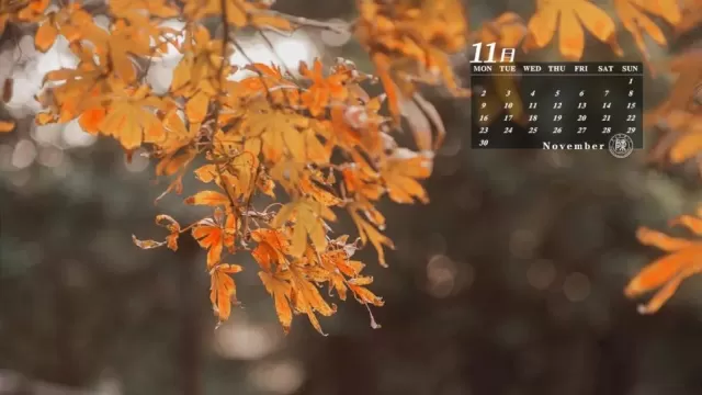 處處都流淌著秋天的詩意千姿百態韻味悠