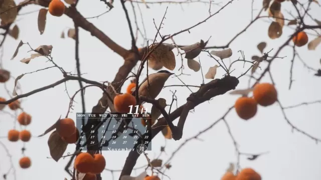 最富有魅力在這靜謐的時光里尋找秋的每一個足跡