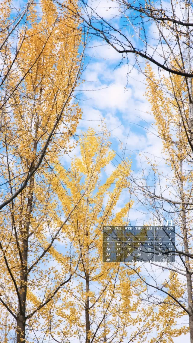 暖陽溫暖了師大人雲天收夏色木葉動秋聲