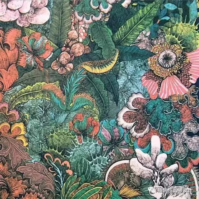 插畫丨她畫出細膩別致的人與自然,在倫敦居住七年,作品為這個國家帶著一絲神秘感