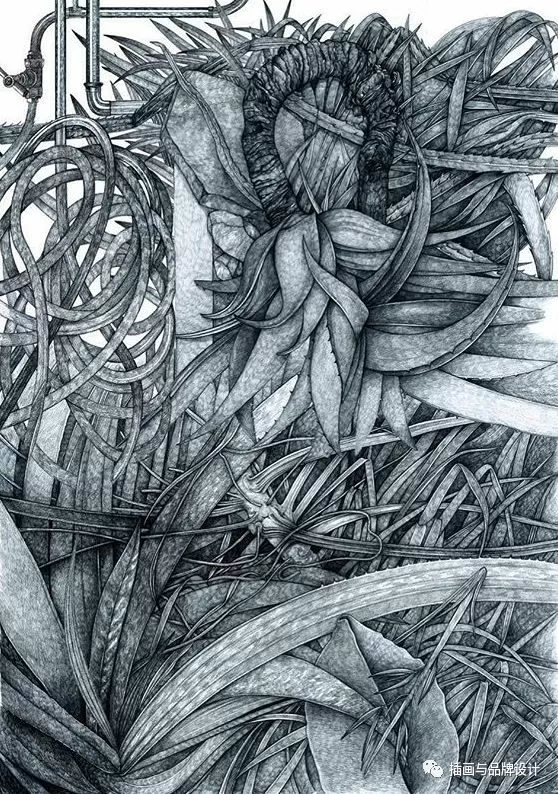 插畫丨她畫出細膩別致的人與自然,在倫敦居住七年,作品為這個國家帶著一絲神秘感