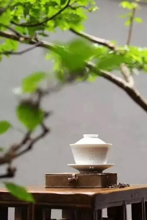 光流轉,舒展了淺笑的眉眼,裝扮了這一季的溫暖,滲透了歲月沉浮,在錯落有致