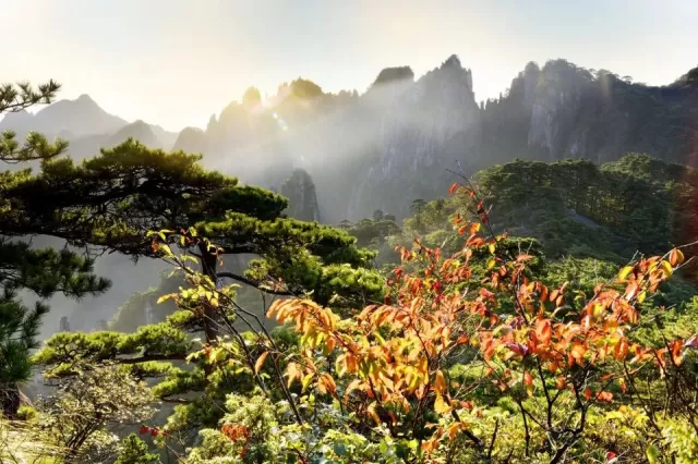碧波蕩漾匯成了一首動人的歌△浙