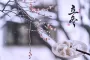 繼續降低。隨著時間推移，冷空氣活動逐漸頻繁，氣溫下降趨勢加快。