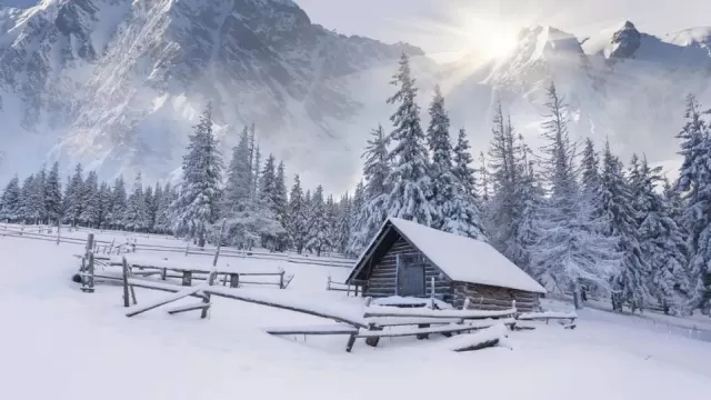 懶寫,寒爐美酒時溫。醉看墨花月白,恍疑雪滿前村。立冬
